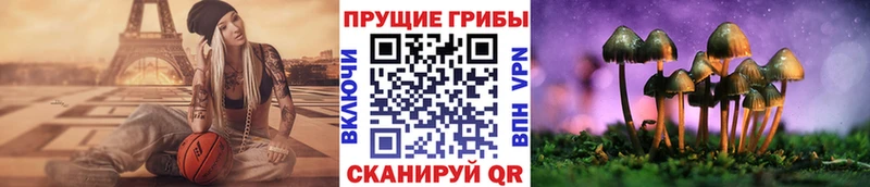 Галлюциногенные грибы мицелий  Пошехонье 